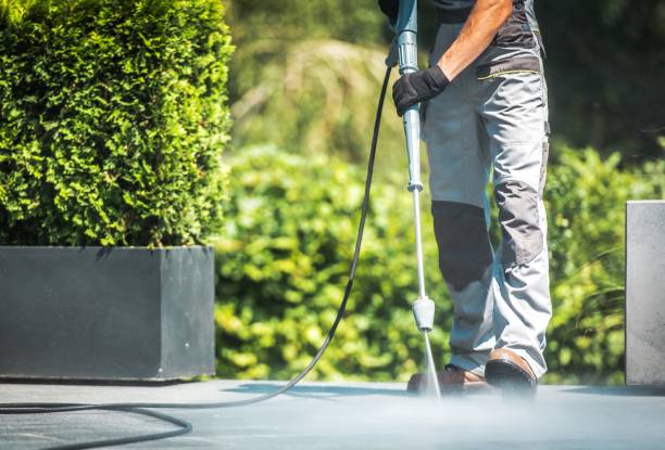 Best Solar Panel Cleaning  in Charlottesville, VA